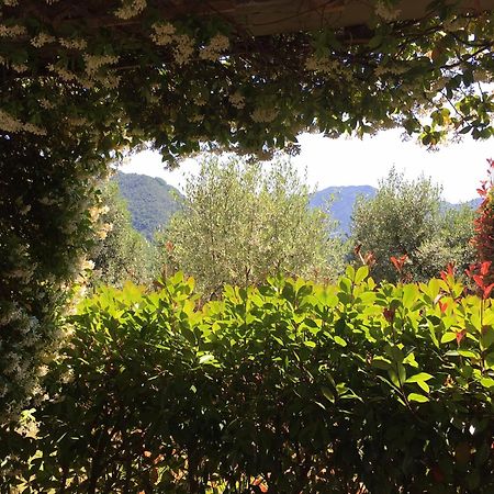 Agriturismo Tenuta La Fratta Bagni di Lucca Zewnętrze zdjęcie