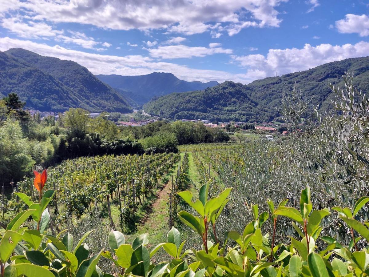 Agriturismo Tenuta La Fratta Bagni di Lucca Zewnętrze zdjęcie