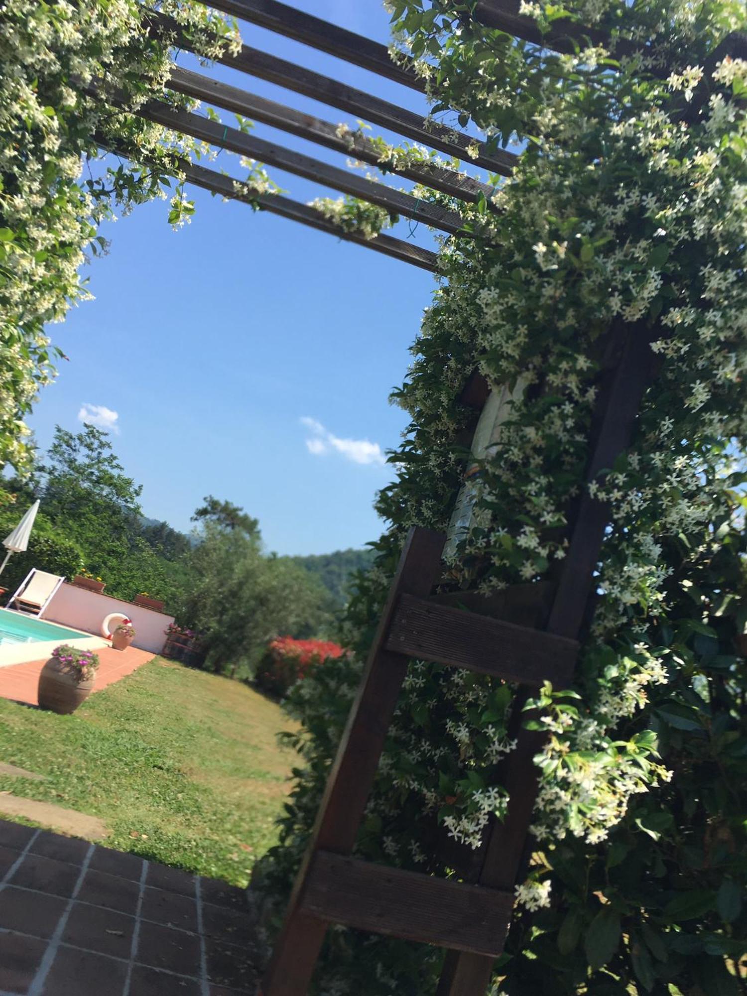 Agriturismo Tenuta La Fratta Bagni di Lucca Zewnętrze zdjęcie