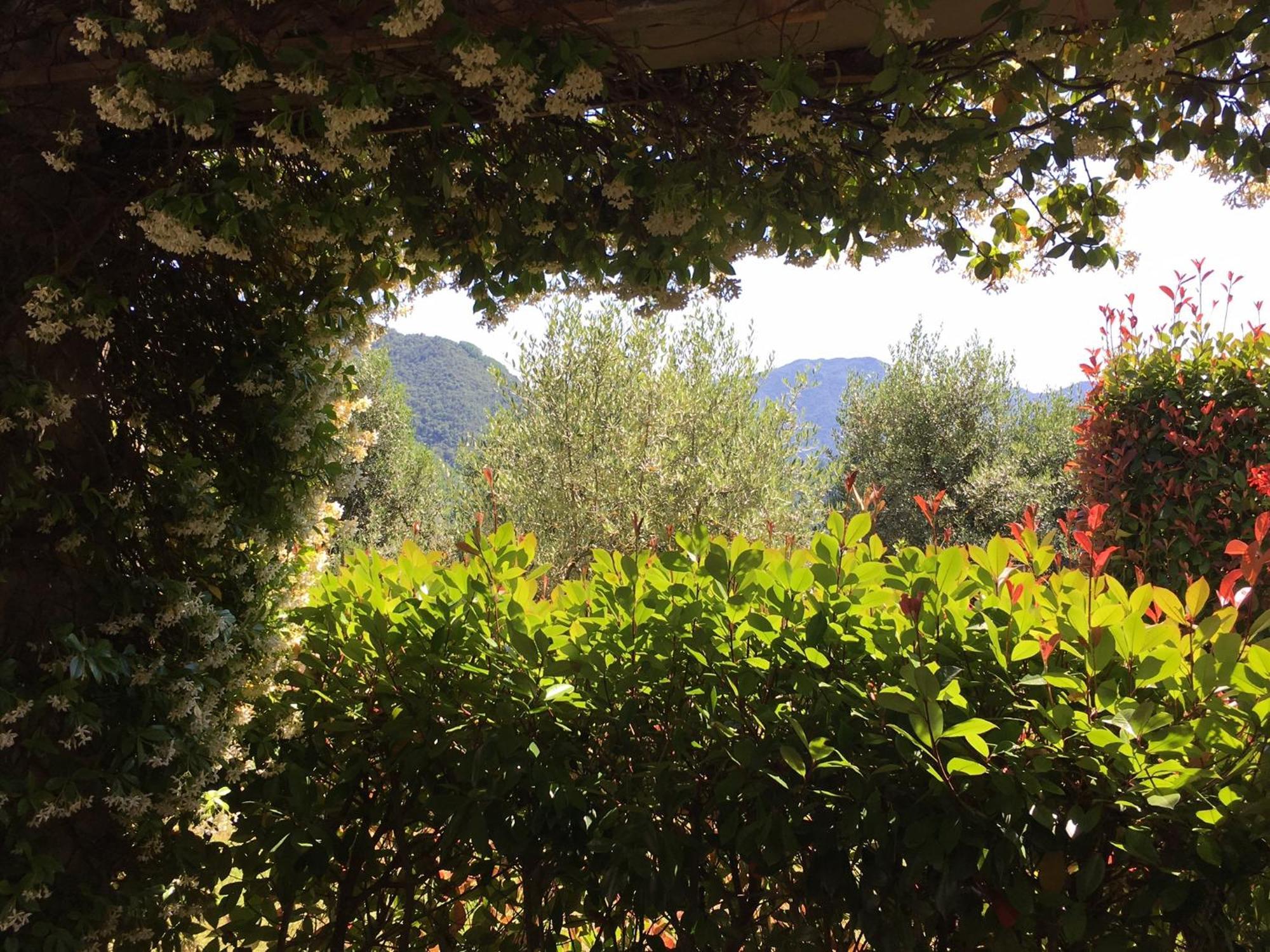 Agriturismo Tenuta La Fratta Bagni di Lucca Zewnętrze zdjęcie