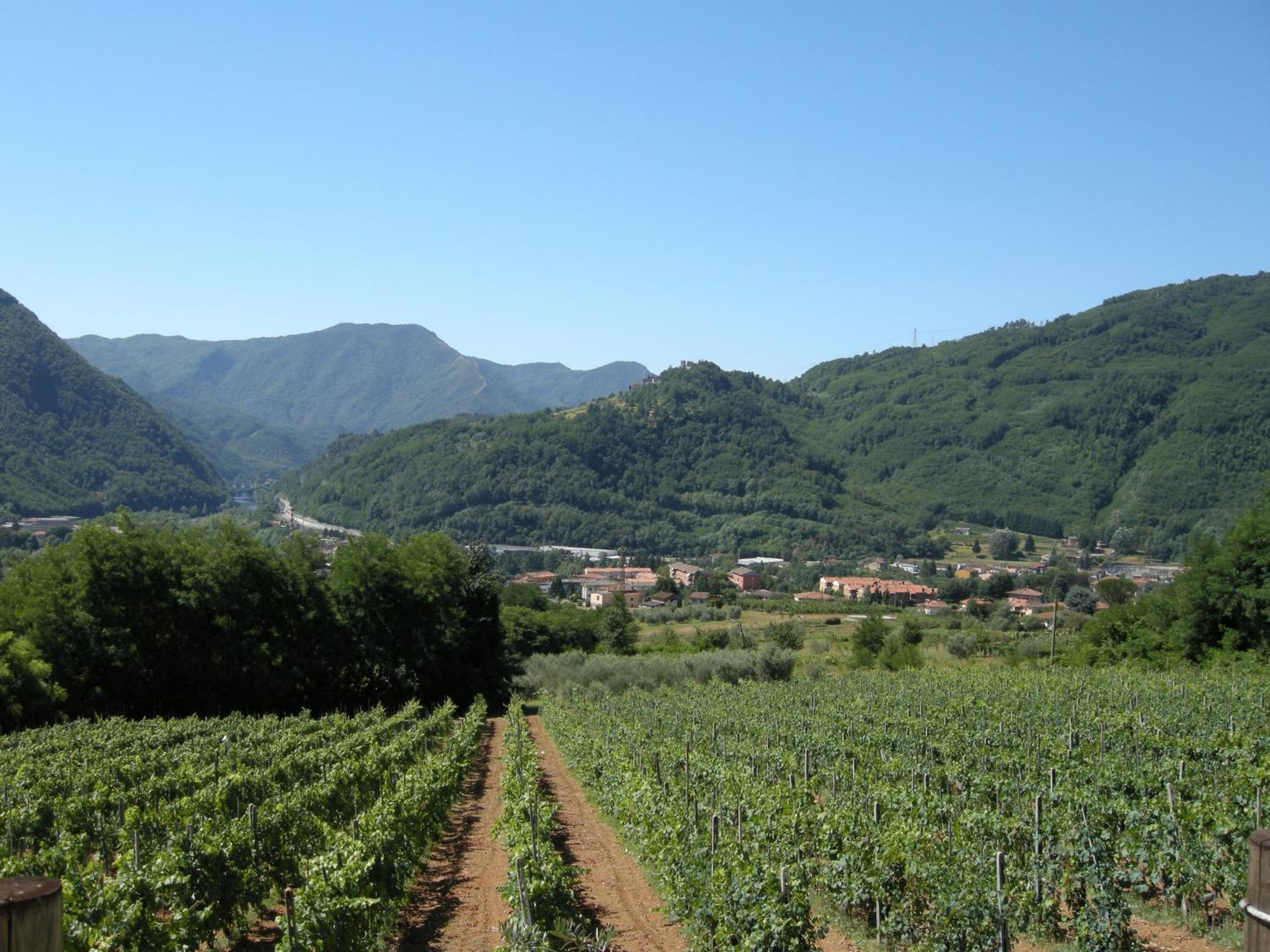 Agriturismo Tenuta La Fratta Bagni di Lucca Zewnętrze zdjęcie
