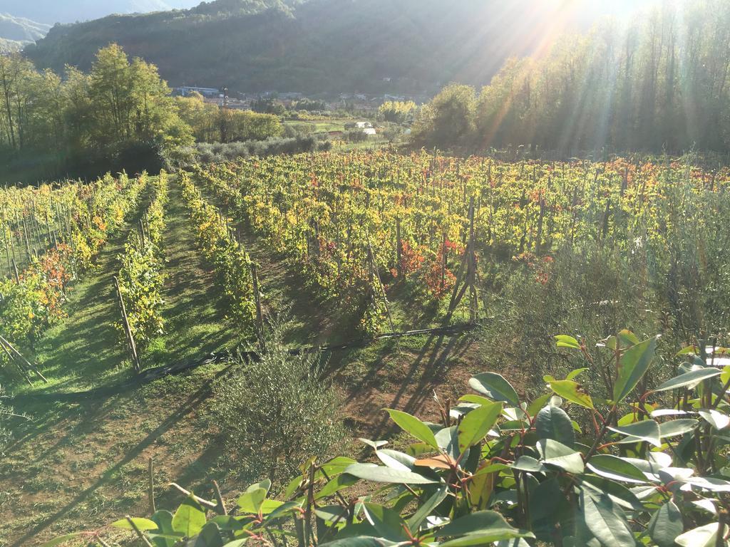 Agriturismo Tenuta La Fratta Bagni di Lucca Zewnętrze zdjęcie