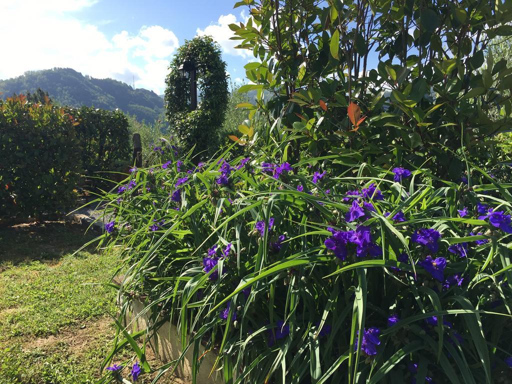 Agriturismo Tenuta La Fratta Bagni di Lucca Zewnętrze zdjęcie