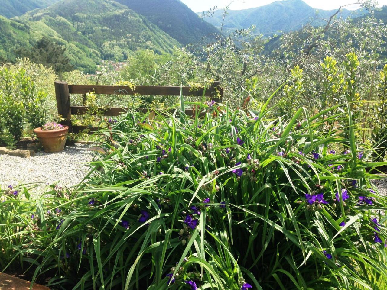 Agriturismo Tenuta La Fratta Bagni di Lucca Zewnętrze zdjęcie